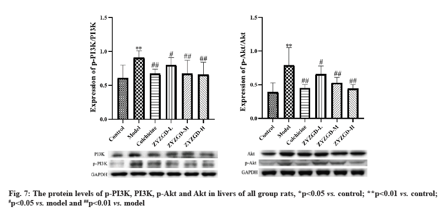 IJPS-protein