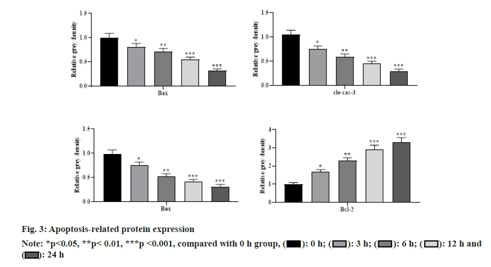 IJPS-protein