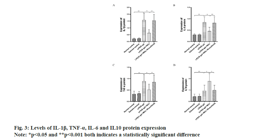 IJPS-protein