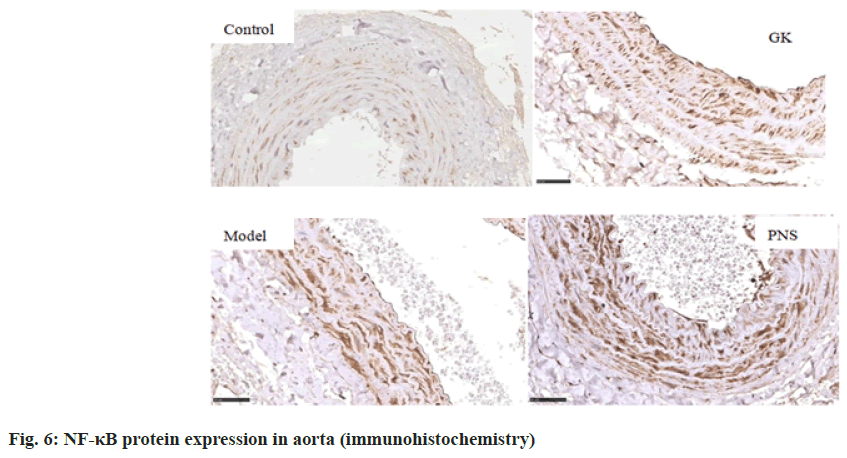 IJPS-protein-NF