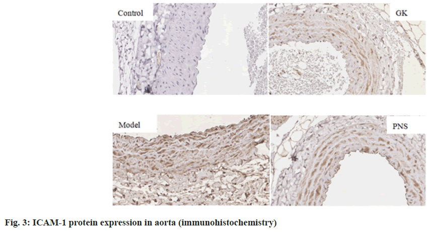 IJPS-protein-aorta