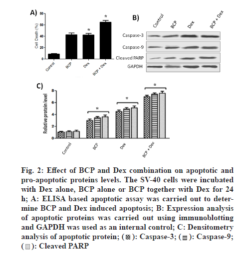 IJPS-proteins