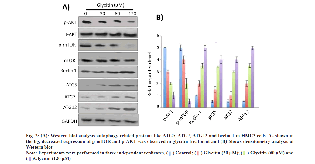 IJPS-proteins