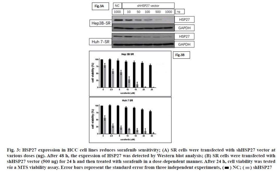 IJPS-reduces