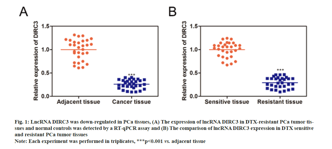 IJPS-regulated