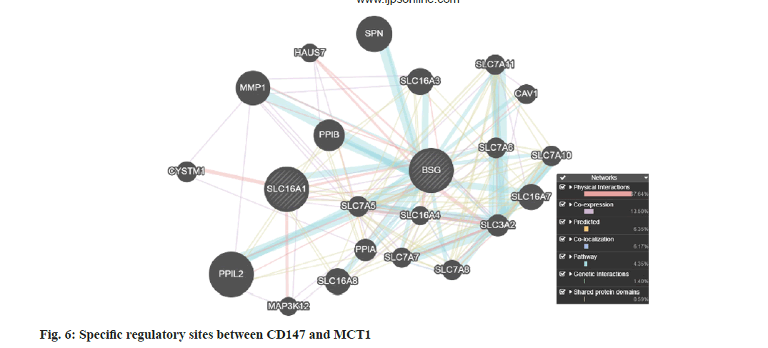 IJPS-regulatory