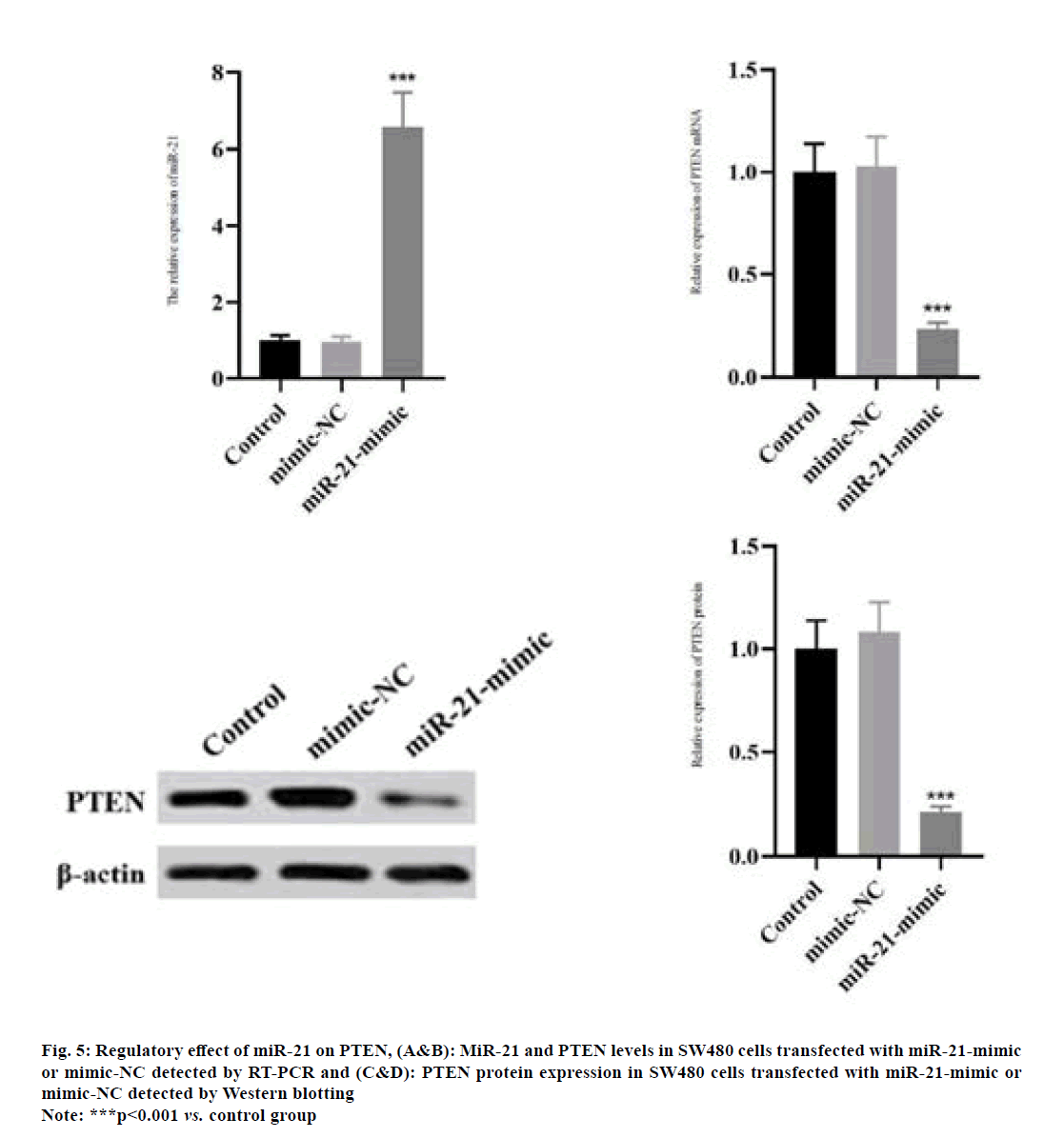 IJPS-regulatory-effect