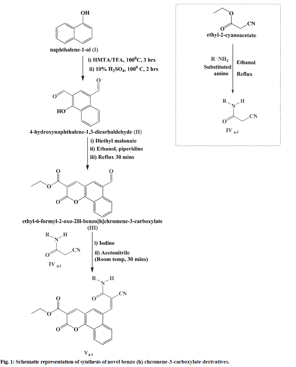 IJPS-representation