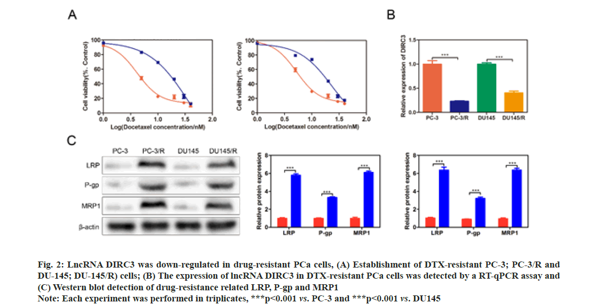 IJPS-resistant