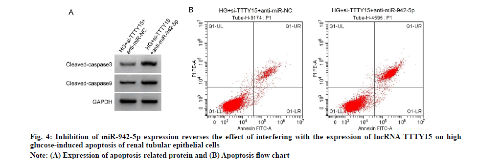 IJPS-reverses