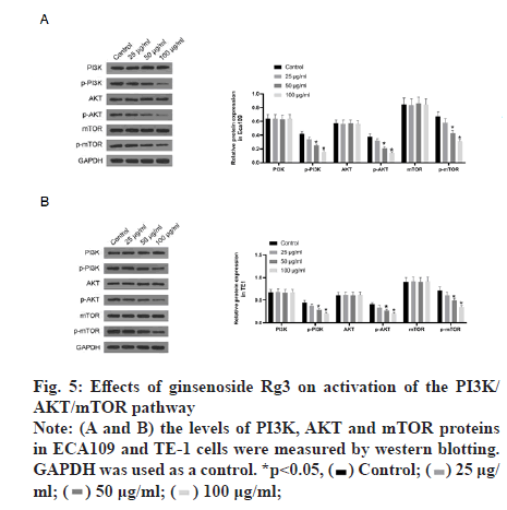 IJPS-rg3