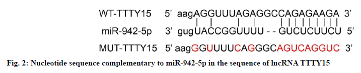 IJPS-sequence