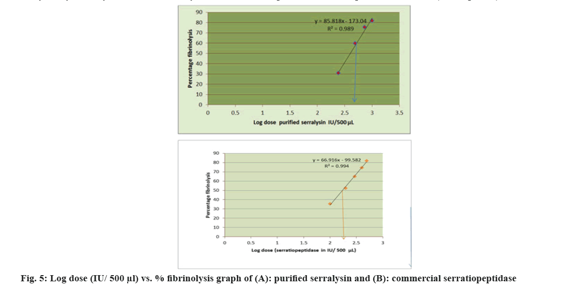 IJPS-serratiopeptidase