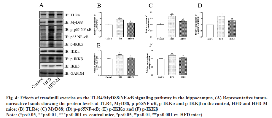 IJPS-signaling