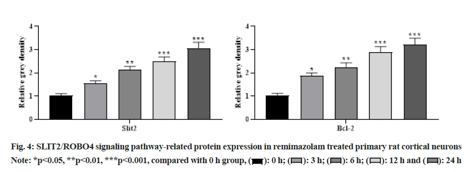 IJPS-signaling