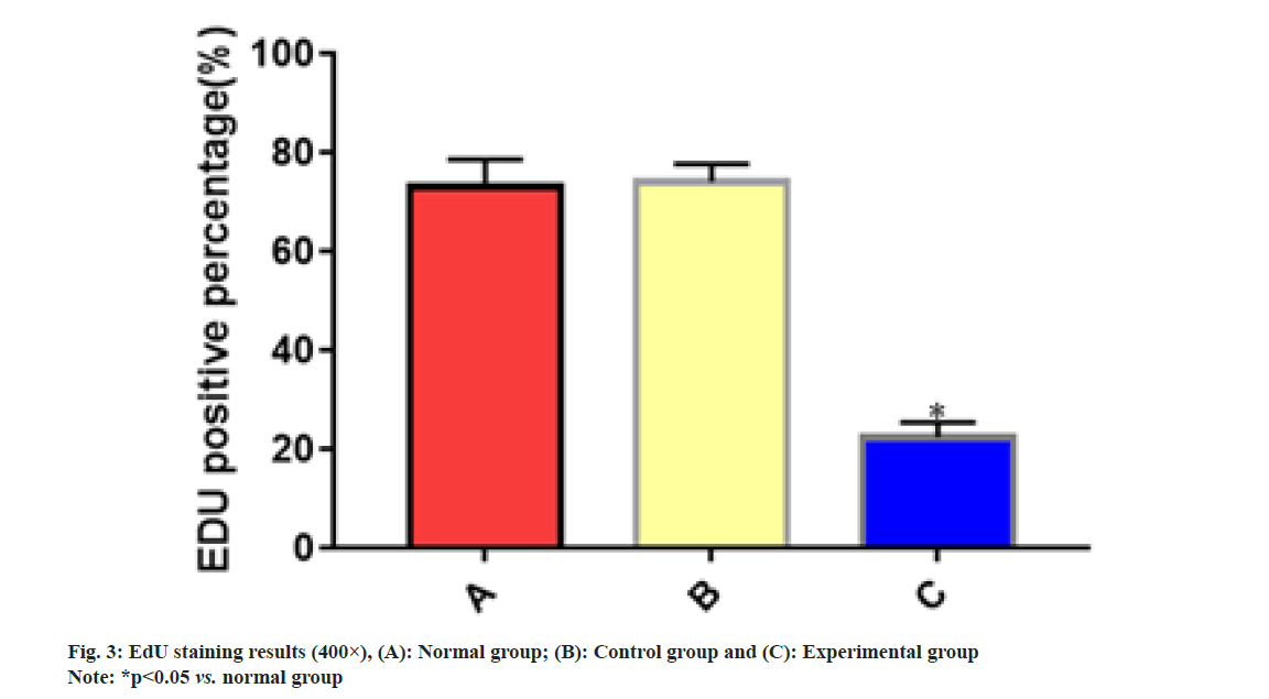 IJPS-staining