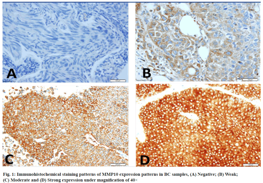 IJPS-staining