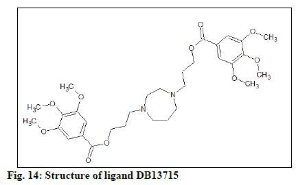 IJPS-structure