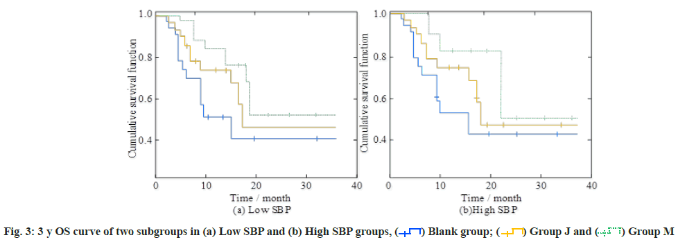 IJPS-subgroups