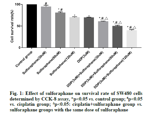 IJPS-sulforaphane