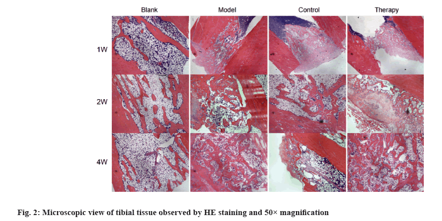 IJPS-tissue