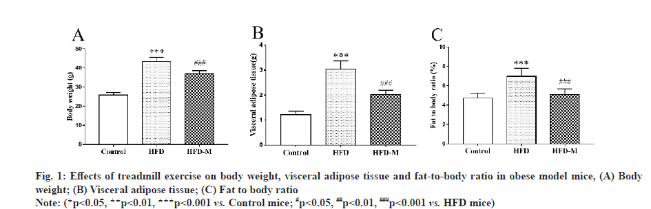 IJPS-treadmill