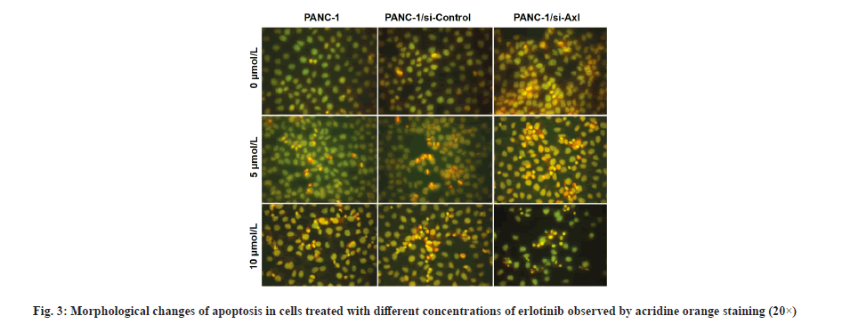 IJPS-treated