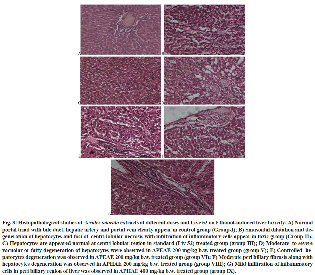 IJPS-treated-group