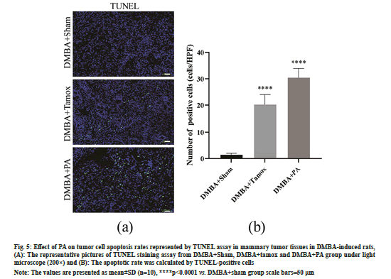 IJPS-tumor