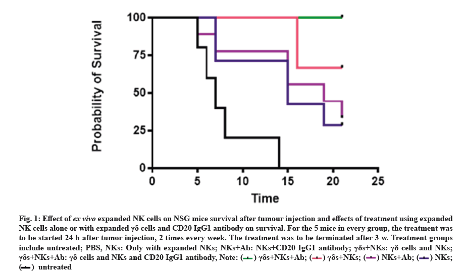 IJPS-tumour