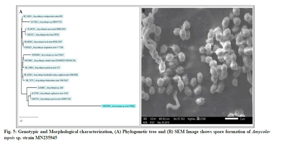 Genotypic