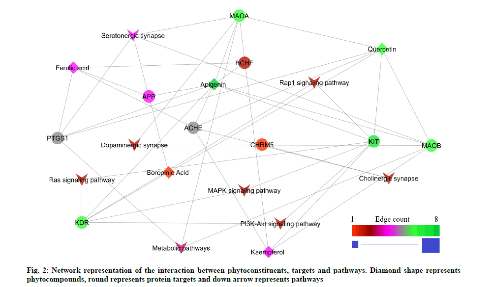 Pharmaceutical-Sciences-Network