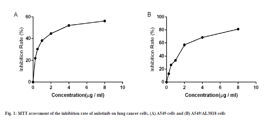 anlotinib