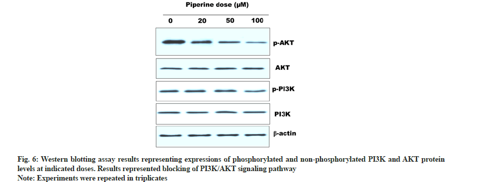 blotting