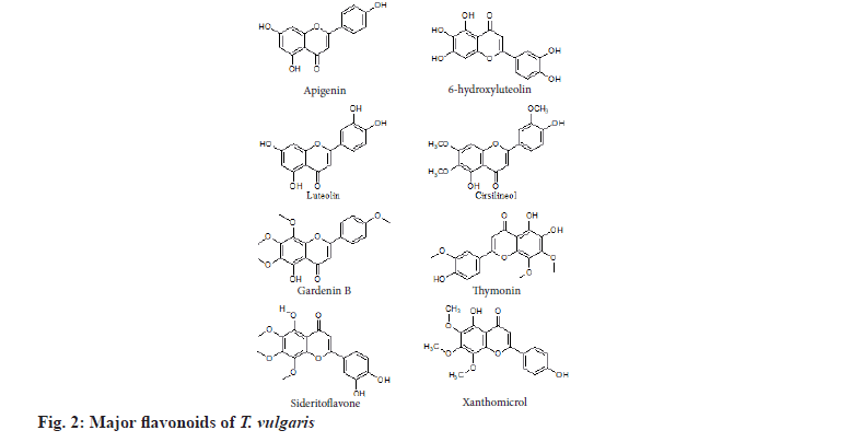 flavonoids