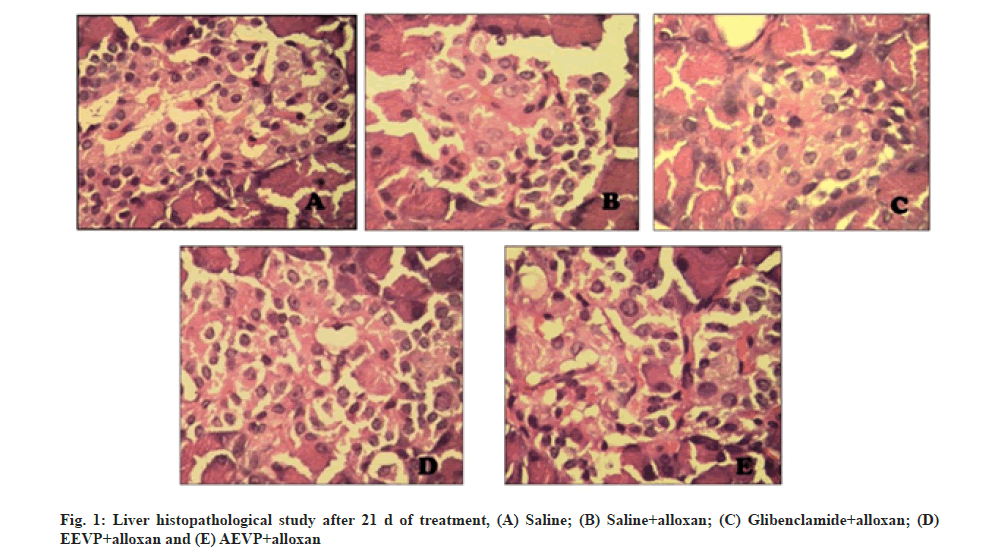 histopathological