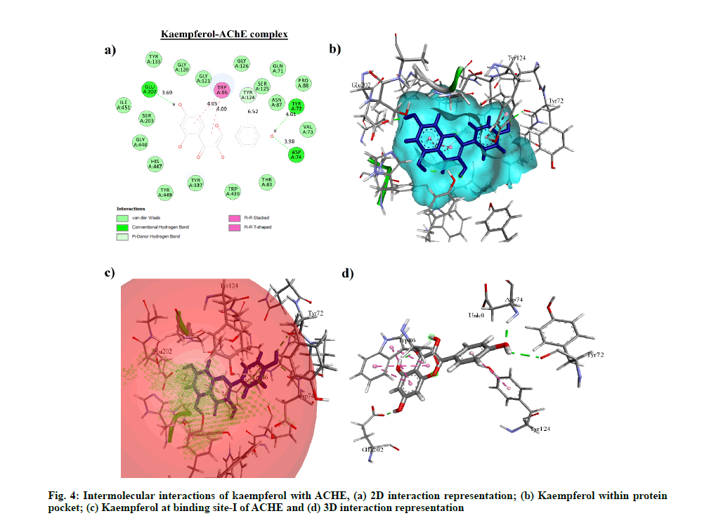 Pharmaceutical-Sciences-kaempferol