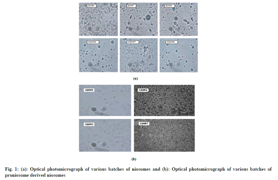 niosomes