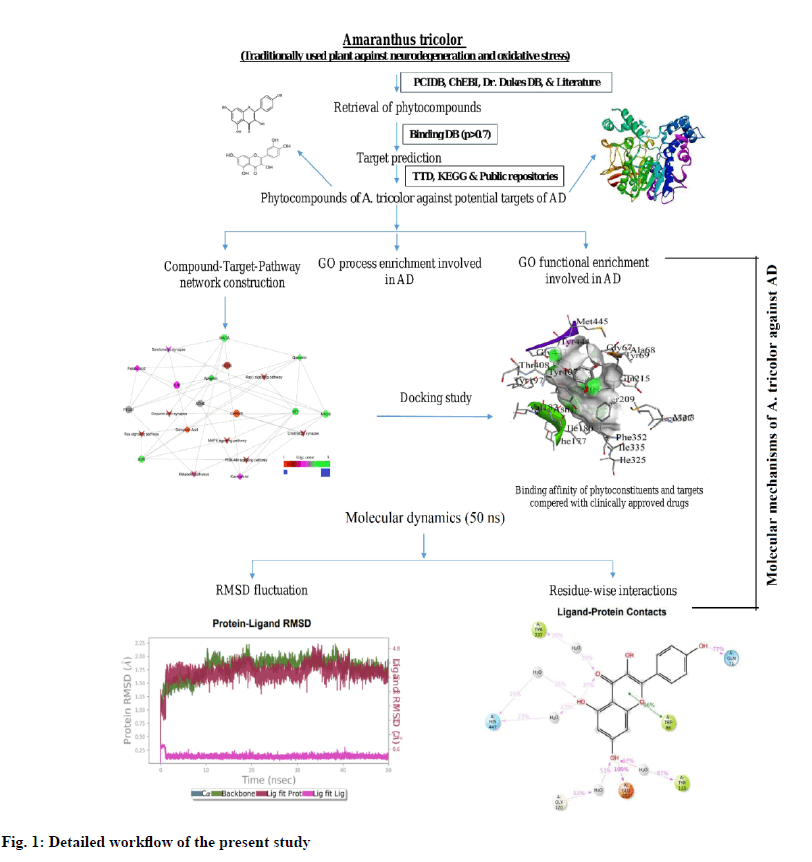 Pharmaceutical-Sciences-workflow