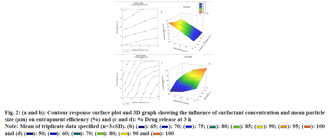 ijps-Contour