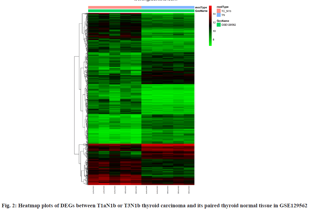 ijps-Heatmap