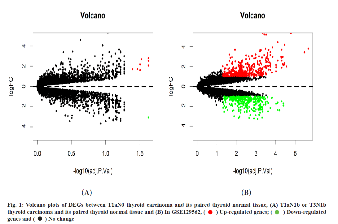 ijps-Volcano