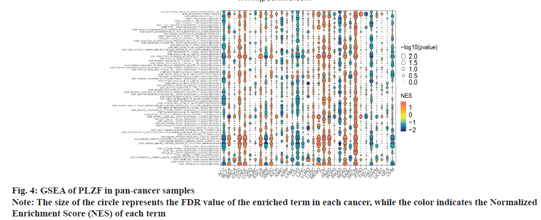 ijps-cancer