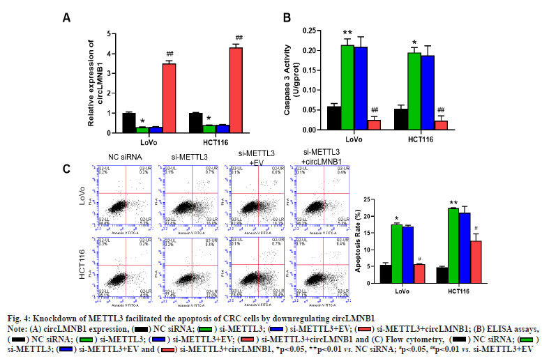 ijps-cells