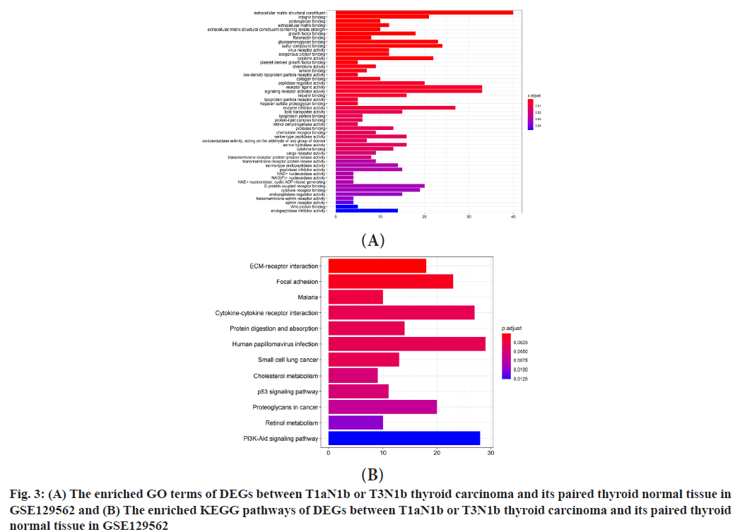 ijps-enriched