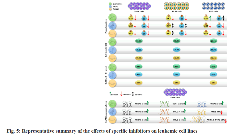 ijps-inhibitors