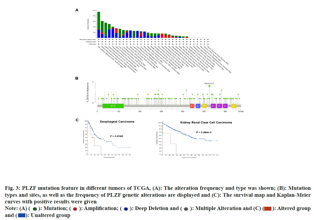 ijps-mutation