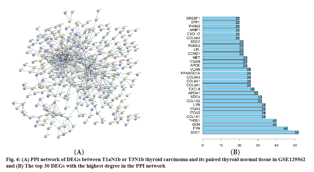 ijps-network