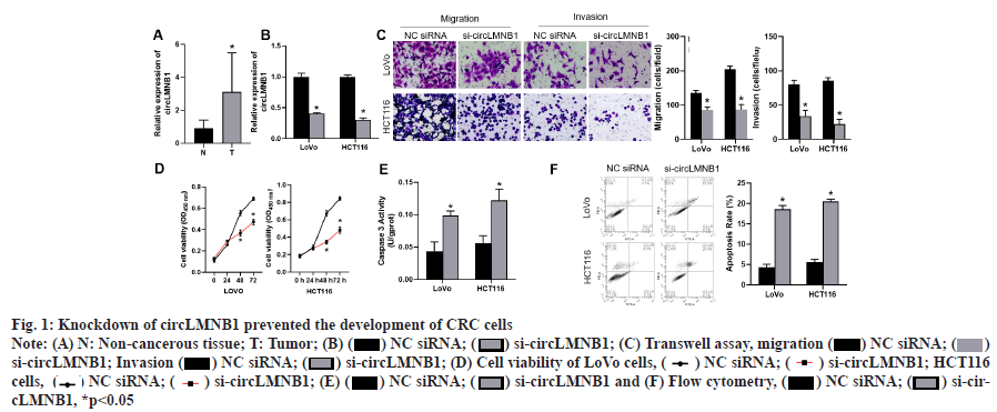 ijps-prevented