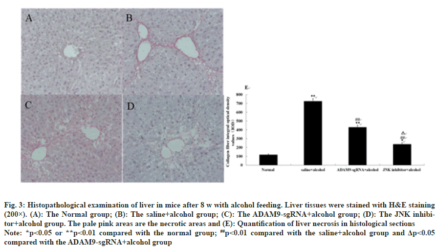 indian-journal-liver